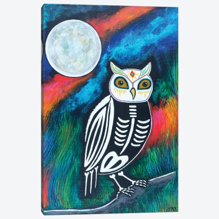 Sacred Owl Canvas Print #TBH91} by Teal Buehler Art Print