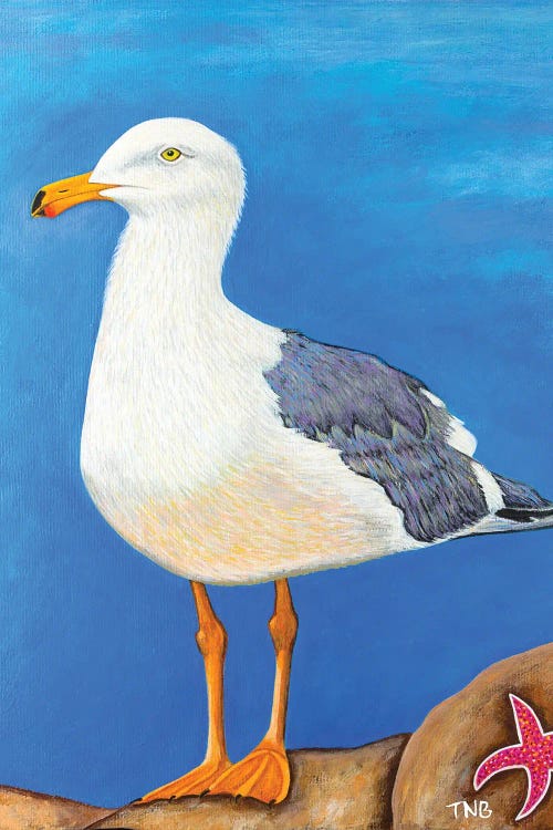 Seagull by Teal Buehler wall art