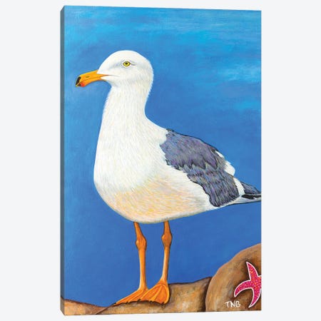 Seagull Canvas Print #TBH93} by Teal Buehler Canvas Art Print