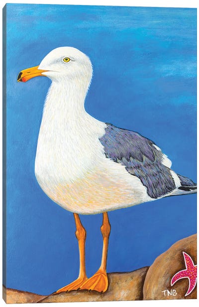 Seagull Canvas Art Print - Teal Buehler