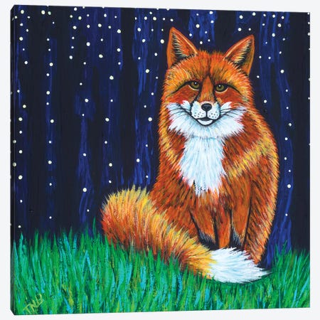 Starry Night Fox Canvas Print #TBH98} by Teal Buehler Canvas Print