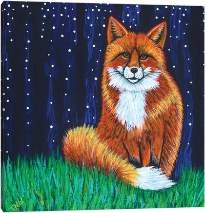 Starry Night Fox Canvas Art Print - Grass Art