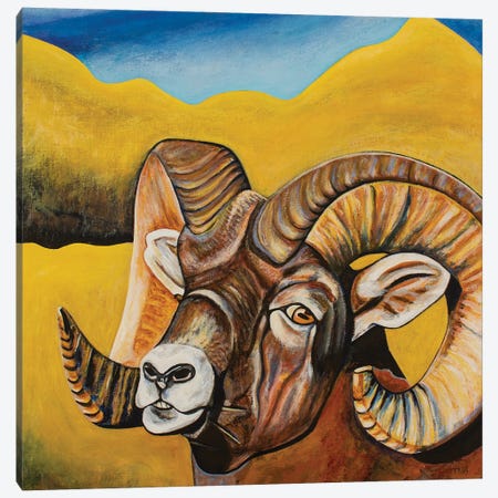 Bighorn Sheep Canvas Print #TBH9} by Teal Buehler Art Print