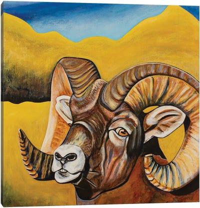 Bighorn Sheep Canvas Art Print - Teal Buehler