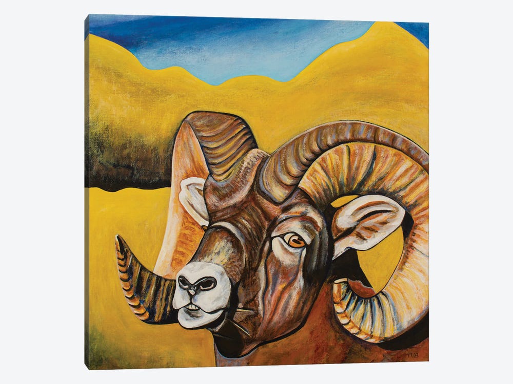 Bighorn Sheep by Teal Buehler 1-piece Art Print