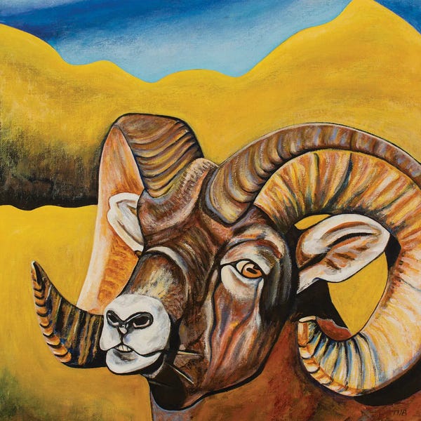 Rams: Bighorn Sheep by Teal Buehler