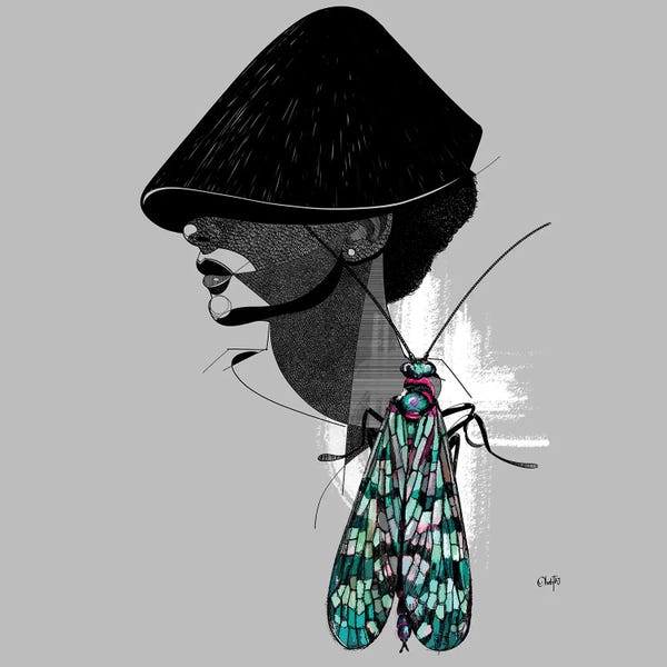 Flies: Olanma VIII by Ohab TBJ