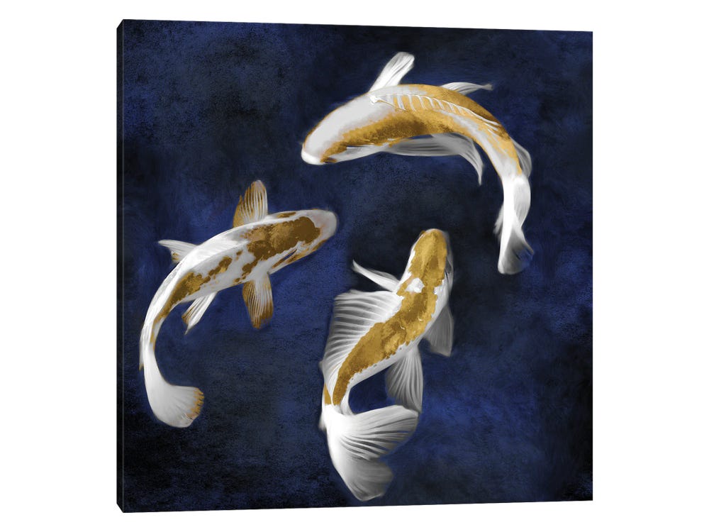 Framed Canvas Art - Koi On Blue II by Tina Blakely ( Animals > Sea Life > Fish > Koi Fish art) - 26x26 in