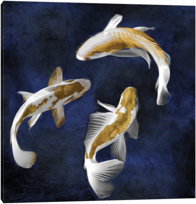Koi On Blue II Canvas Art Print - Koi Fish Art