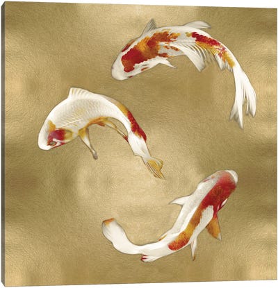 Koi On Gold I Canvas Art Print - Koi Fish Art