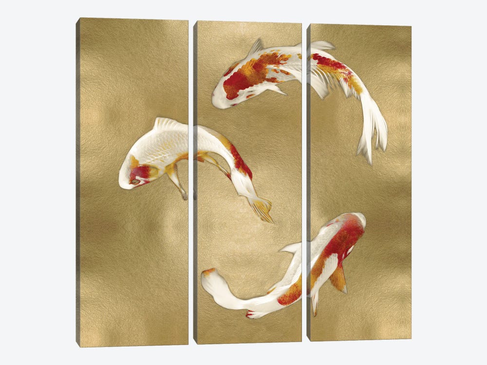 Koi On Gold I by Tina Blakely 3-piece Canvas Art Print