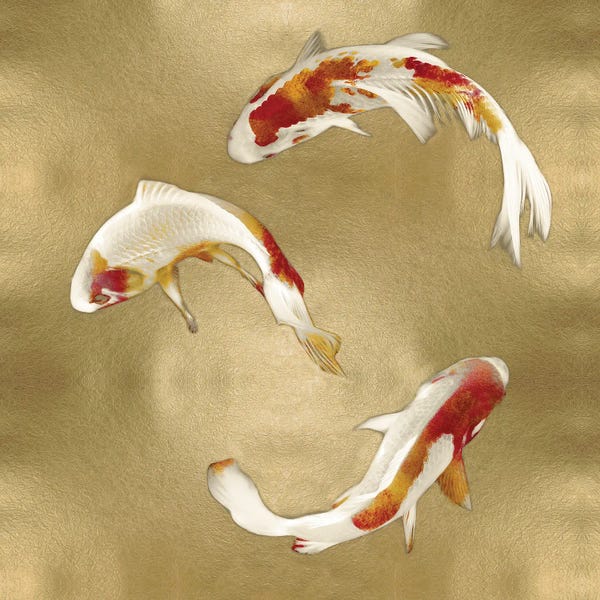 Koi: Koi On Gold I by Tina Blakely