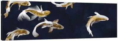 Koi Pond Canvas Art Print - Koi Fish Art