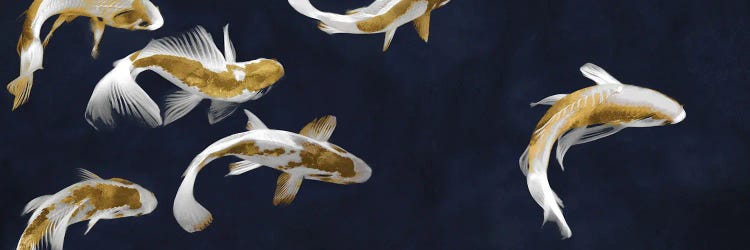 Koi Pond by Tina Blakely wall art