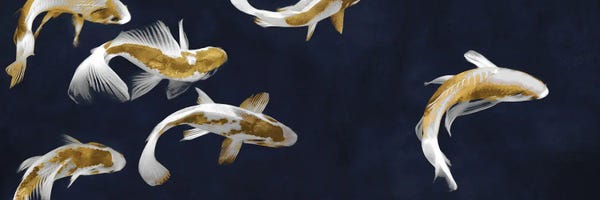 Koi: Koi Pond by Tina Blakely