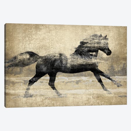 Running Horse - Gold II Canvas Print #TBK16} by Tina Blakely Canvas Art Print