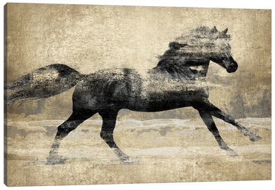 Running Horse - Gold II Canvas Art Print