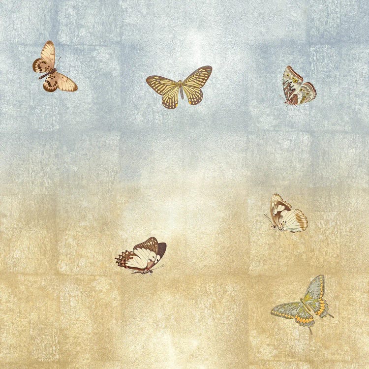 Butterflies II