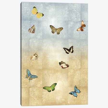 Butterflies Meet Up II Canvas Print #TBK3} by Tina Blakely Canvas Artwork
