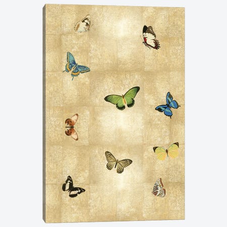 Butterflies On Gold I Canvas Print #TBK4} by Tina Blakely Art Print
