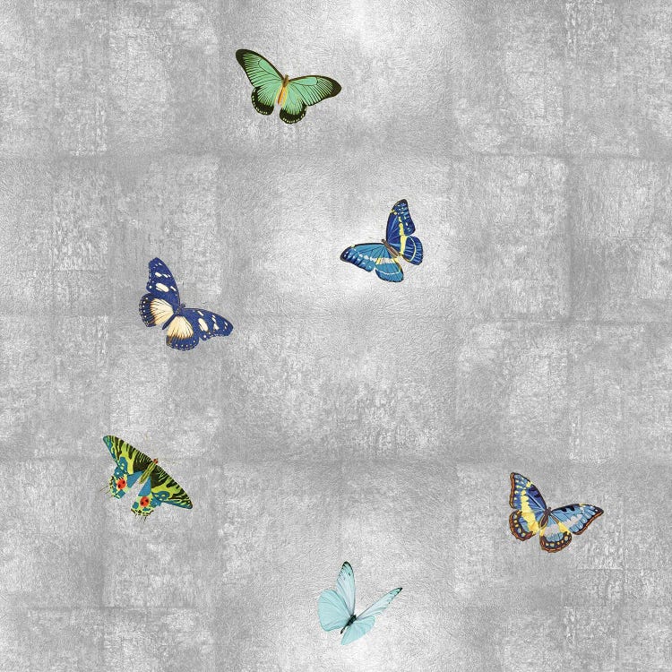 Butterflies On Silver I