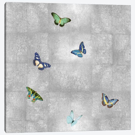 Butterflies On Silver I Canvas Print #TBK5} by Tina Blakely Art Print