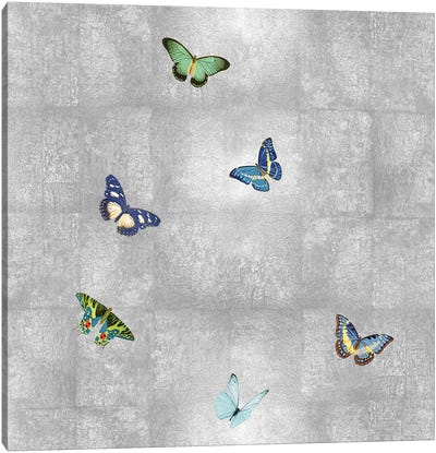 Butterflies On Silver I Canvas Art Print - Monarch Metamorphosis