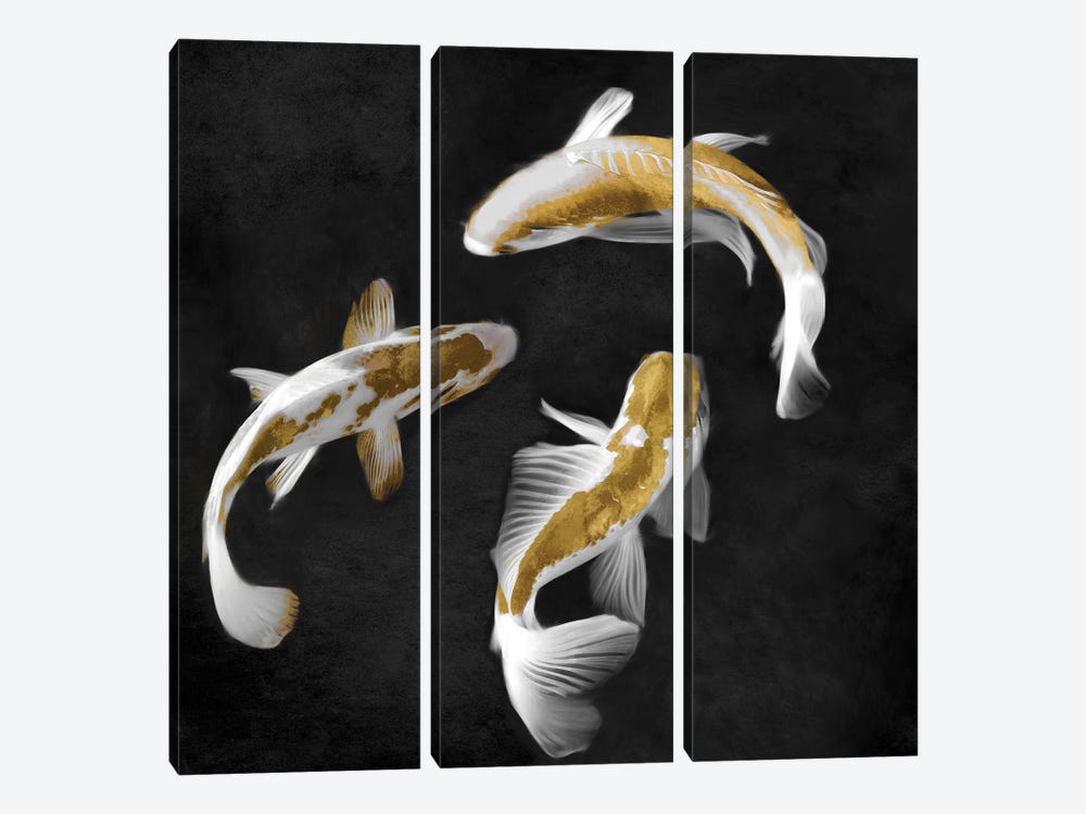 Gold Koi On Black II by Tina Blakely 3-piece Canvas Print