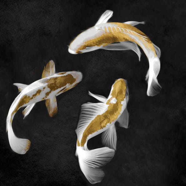 Koi: Gold Koi On Black II by Tina Blakely