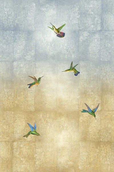 Hummingbirds: Hummingbirds In Flight II by Tina Blakely