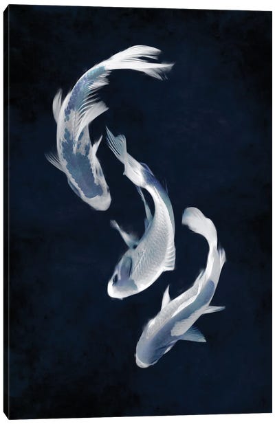 Koi I Canvas Art Print - Koi Fish Art