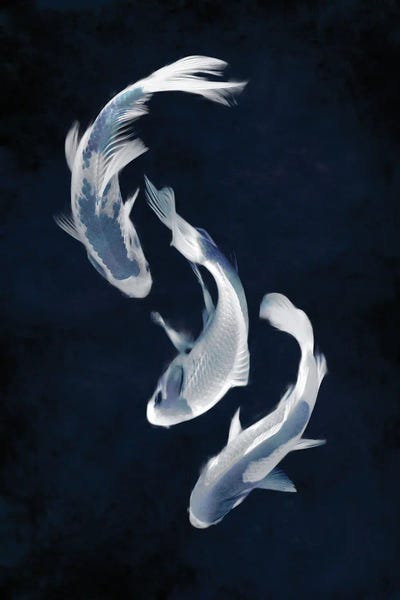 Koi: Koi I by Tina Blakely