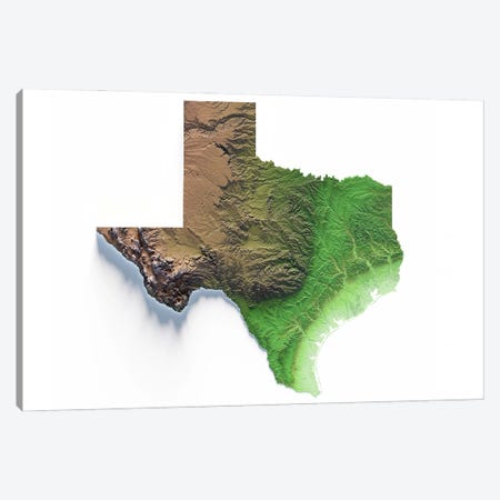 Texas Canvas Print #TBM23} by Trobart Maps Canvas Art Print