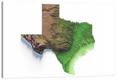 Texas Canvas Art Print - 3-Piece Map Art