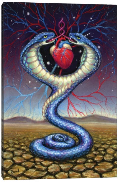 Snake Canvas Art Print - Tanya Bond