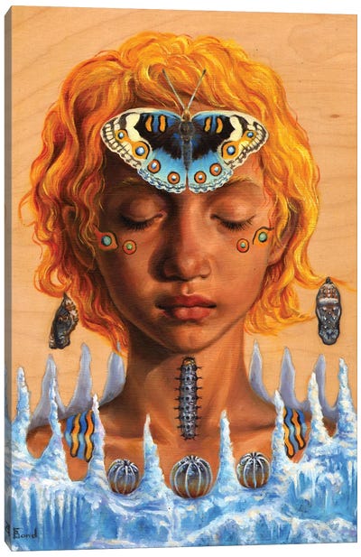 Butterfly Canvas Art Print - Tanya Bond