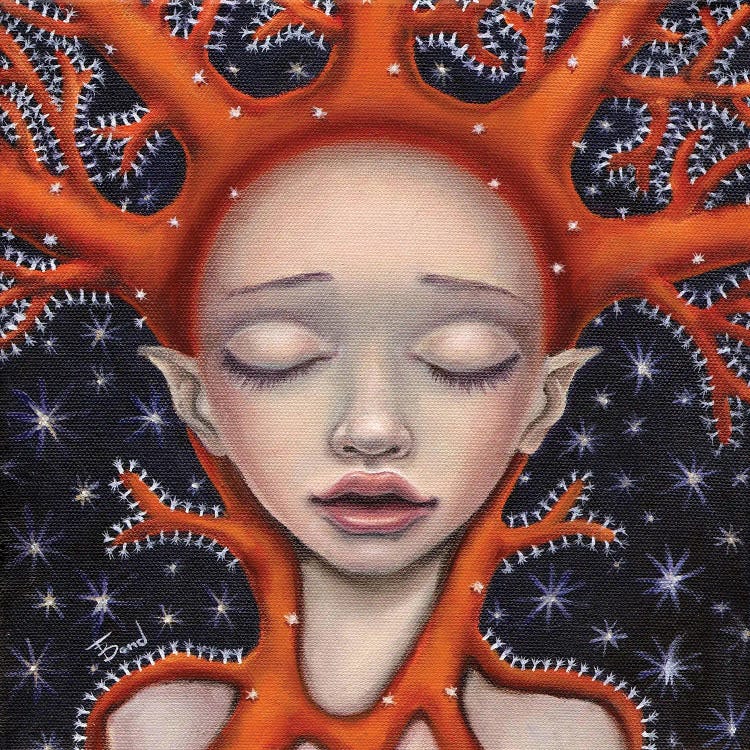 Coral Dream by Tanya Bond wall art