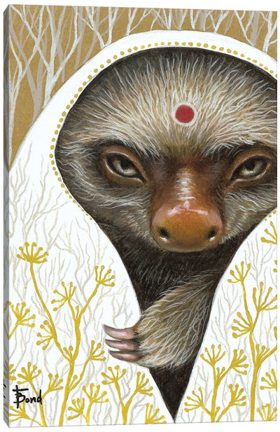 Medicine Sloth Canvas Art Print - Sloth Art