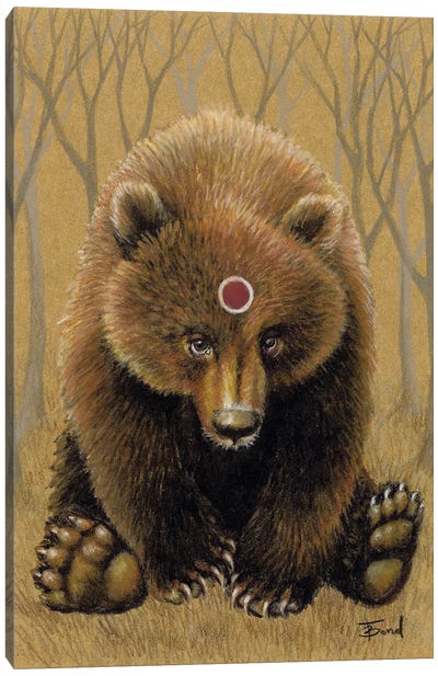 Mr Bear Canvas Art Print - Brown Bear Art