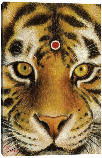 Mr Tiger Canvas Art Print - Tanya Bond