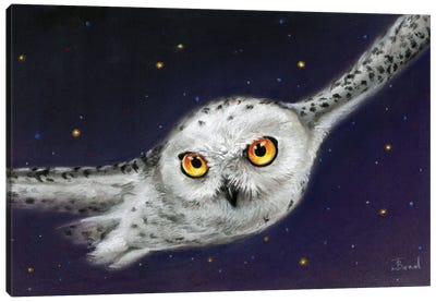 Night Flight Canvas Art Print - Tanya Bond