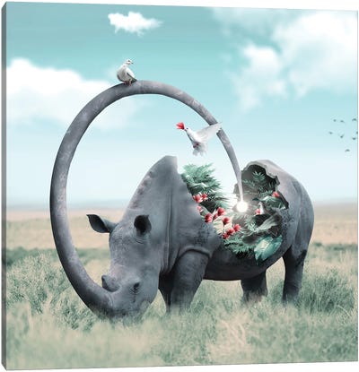 Secret Garden Canvas Art Print - Rhinoceros Art