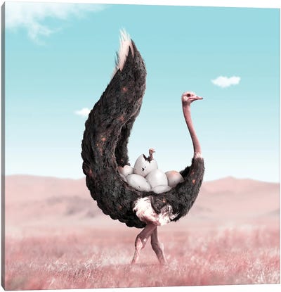 Cozy Canvas Art Print - Ostrich Art