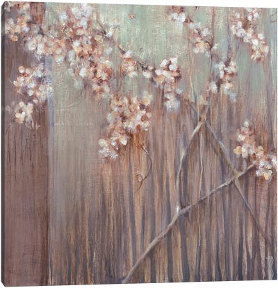 Spring Blossoms Canvas Art Print - Terri Burris