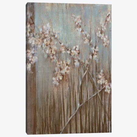 Spring Blossoms Canvas Print #TBU11} by Terri Burris Canvas Artwork