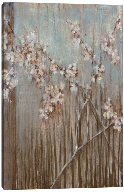 Spring Blossoms Canvas Art Print - Terri Burris