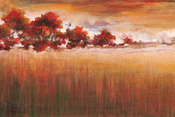 Maple Trees: Into The Woods by Terri Burris