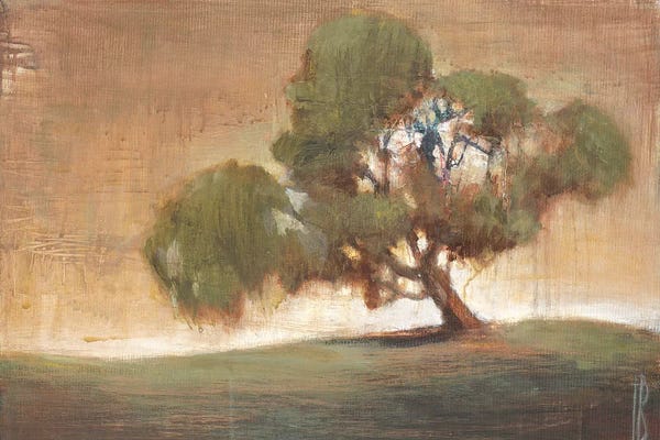 Terri Burris: A Peaceful Spot by Terri Burris