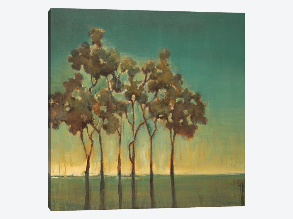 Arbor Grove by Terri Burris 1-piece Canvas Print