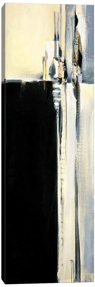 Black and Graphite II Canvas Art Print - Terri Burris